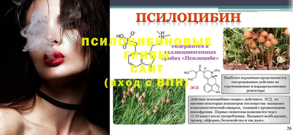 соль курить ск Арсеньев